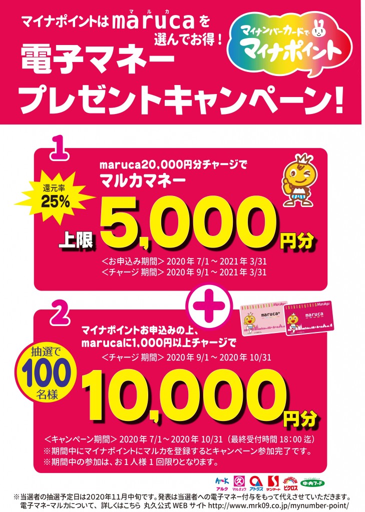 電子マネープレゼントキャンペーン(抽選100名様